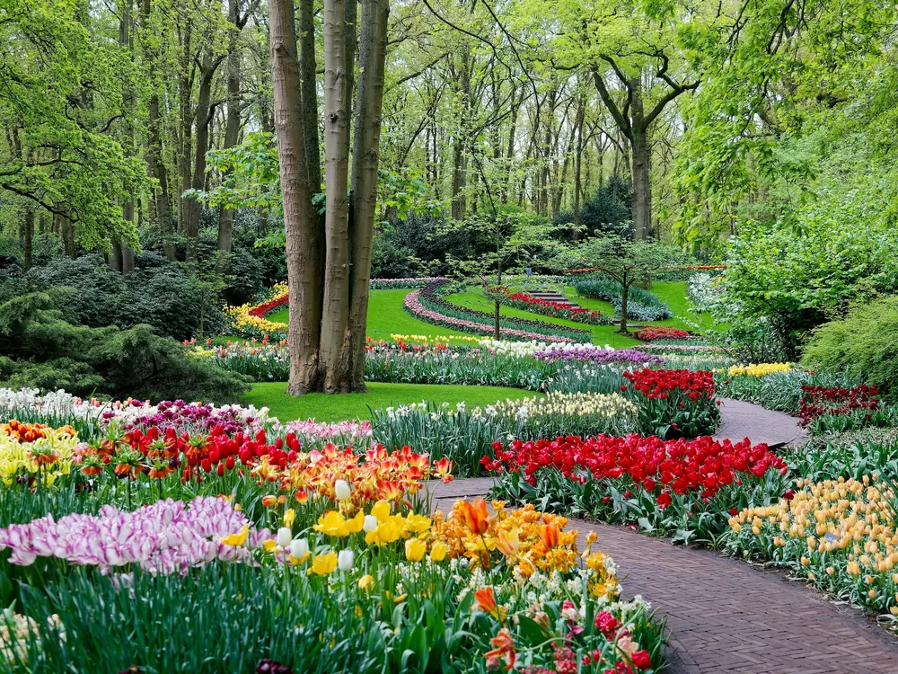 Blühender Garten mit Beeten voller Tulpen und anderer Frühlingsblumen entlang eines geschwungenen Klinkerwegs, im Hintergrund hohe Bäume